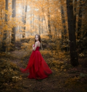 Forest melodies