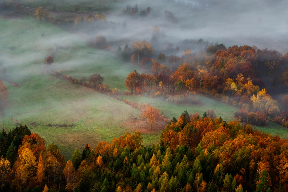 bonnieandclyde - The Land of Morning Mists.... . Zdjęcie 336530