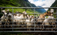 Pozdrówka z Norge 