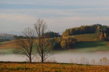 Jesienna mgła