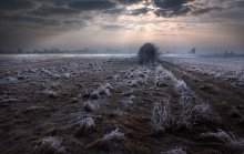 Pierwszy dzień wiosny