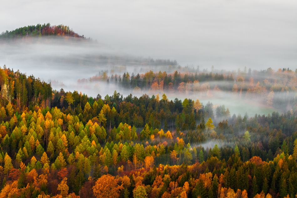 bonnieandclyde - The Land of Morning Mists.... . Zdjęcie 329022