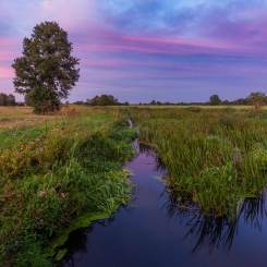O zachodzie słońca. Rze...