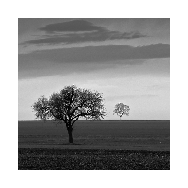 akrims - #042. . Zdjęcie 139019