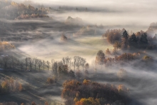 An Autumn's Tale...