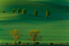 W objęciach wiosny