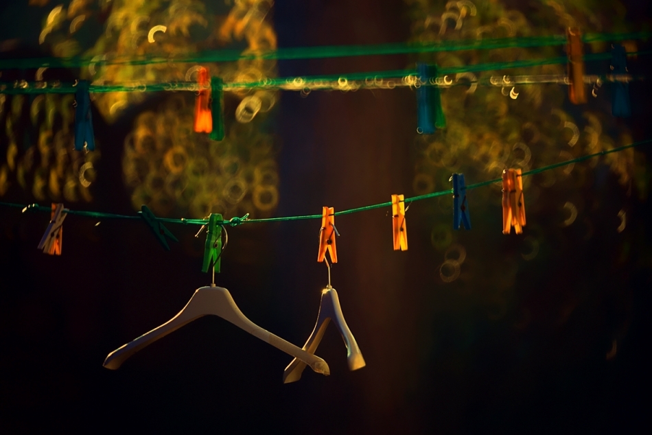 U sąsiada za płotem. PE. Zdjęcie 336743