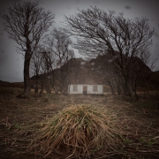 Trumpwhitehause 