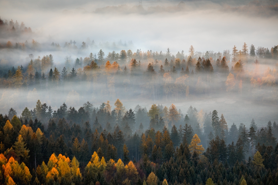 bonnieandclyde - An Autumns Tale.... . Zdjęcie 324824
