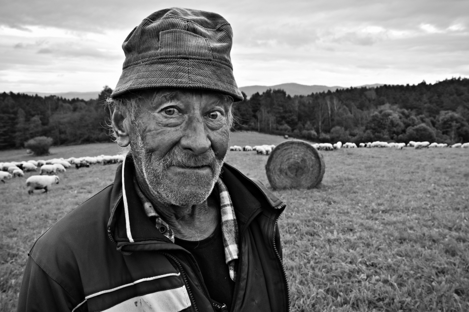 scots - Janek. Beskid Niski. Zdjęcie 324889