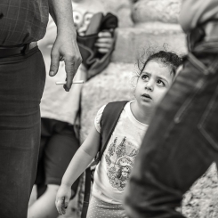 Alicja w krainie ...