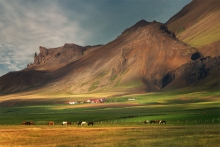 Farm