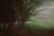 Mysterious Night...