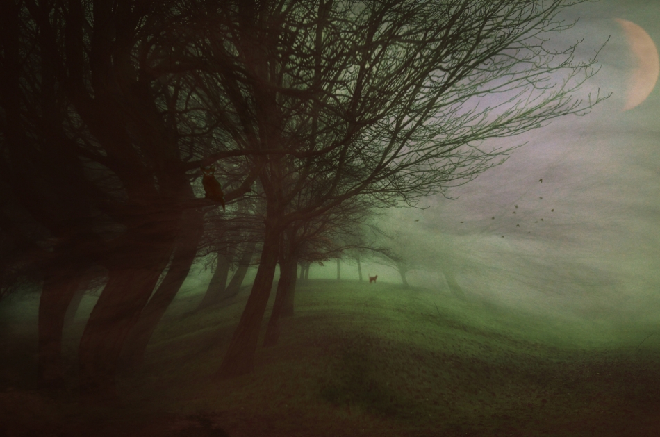 robin74r - Mysterious Night.... . Zdjęcie 321785