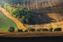 Fields of Autumn...