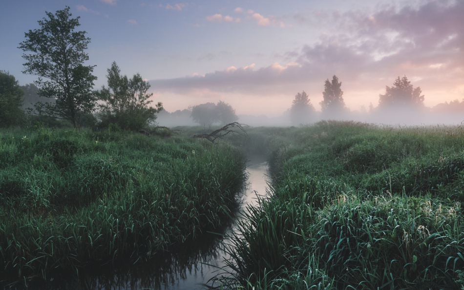 shooter76 - Brak tytułu. . Zdjęcie 277689