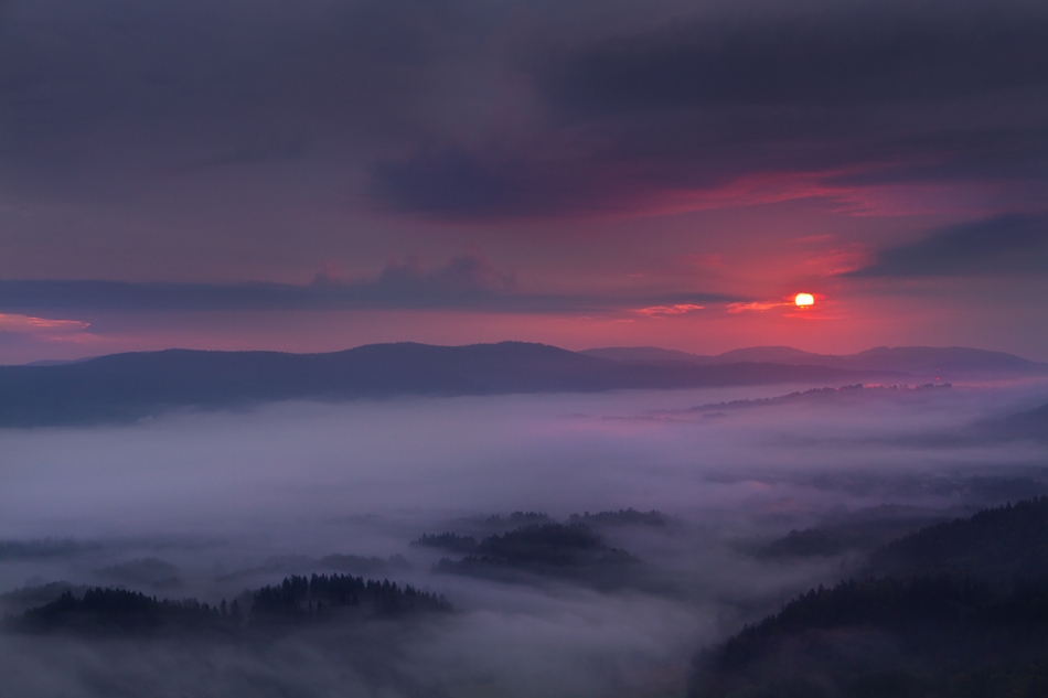 The world seemed rose-tinted.... . Zdjęcie 68984