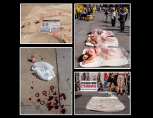 It is not food - It is ...