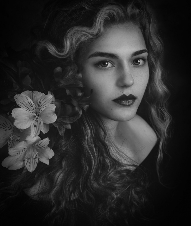 jasmin - . . Zdjęcie 325251