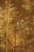 Wspinaczka..