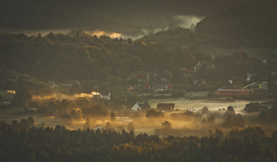 Fog&Mist Inc.. . Zdjęcie 77191