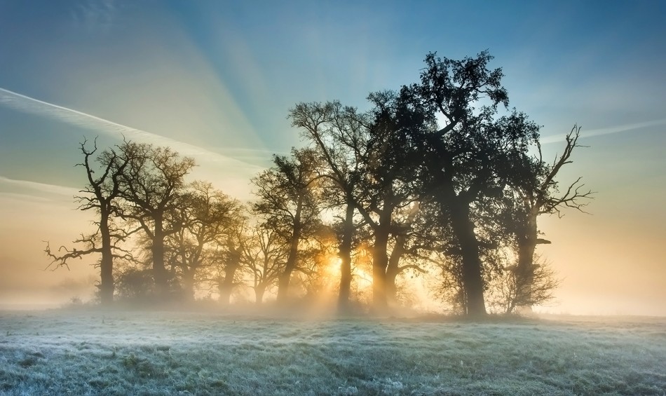 Brak tytułu. . Zdjęcie 337736