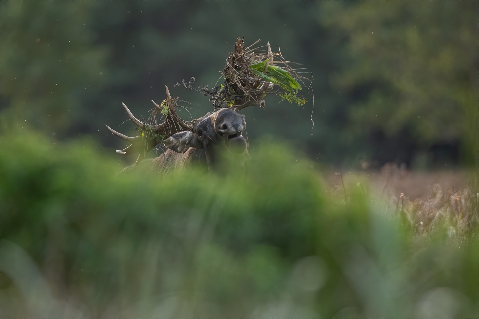 darek_d - ryk . . Zdjęcie 336515