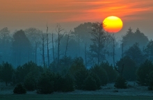 Zamłynie