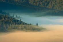 W transylwańskich mgłach