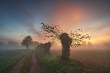Foggy morning...