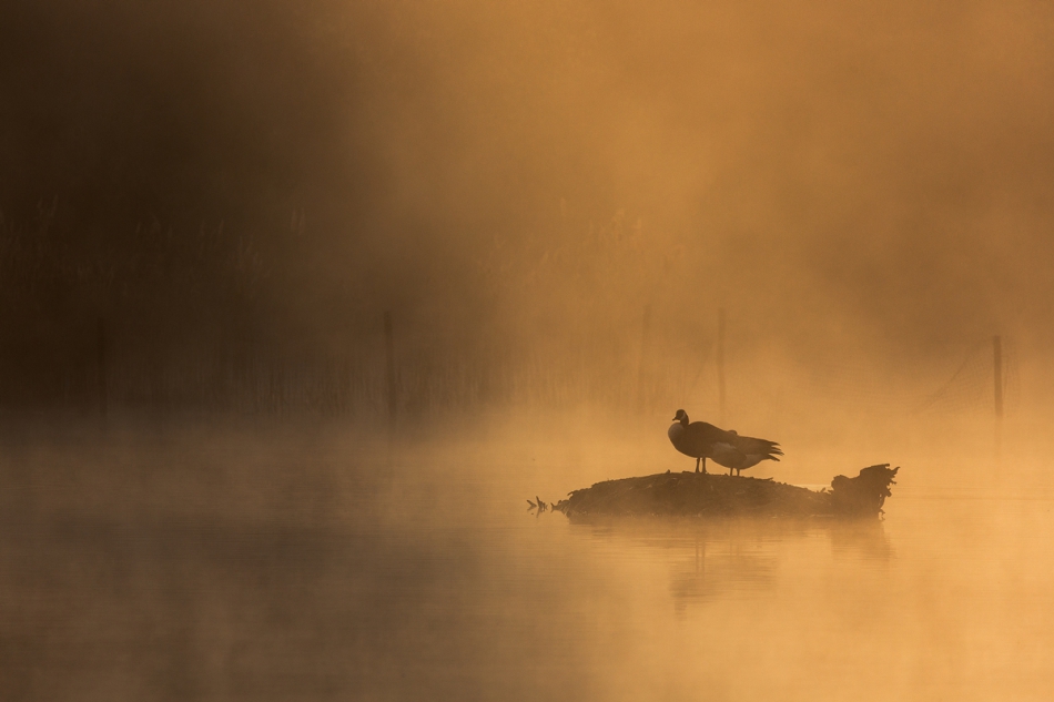 jaroslaw_ - Forgotten Island. . Zdjęcie 239875