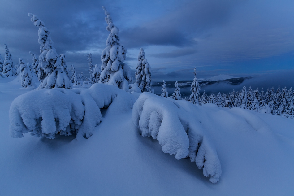bonnieandclyde - Frozen Land II. . Zdjęcie 284910